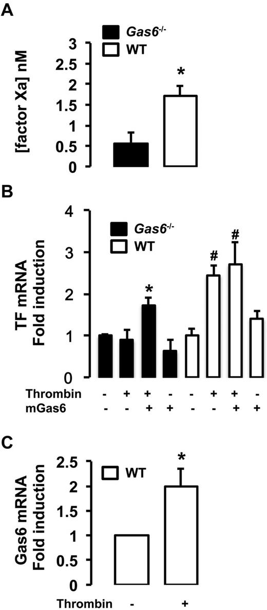 Figure 6. Decreased expression and activity of TF in Gas6−/− endothelial cells. (A) In vitro, low TF activity was also found in the media of Gas6−/− endothelial cells compared with WT cells (n = 6-8). *P < .05. (B) Quantitative PCR showed that TF mRNA expression was low in Gas6−/− deficient endothelial cells compared with WT. Thrombin treatment increased significantly TF mRNA expression in WT but not in Gas6−/− cells. When Gas6−/− cells were treated with both thrombin and murine recombinant Gas6, TF mRNA expression was increased to a level comparable with WT cells. Murine recombinant Gas6 alone has no significant effect on TF mRNA expression in WT or Gas6−/− cells (n = 4-10). *P < .05 vs Gas6−/− untreated cells. #P < .05 vs untreated WT cells. (C) Thrombin induced Gas6 mRNA in WT endothelial cells (n = 4-8). *P < .05.