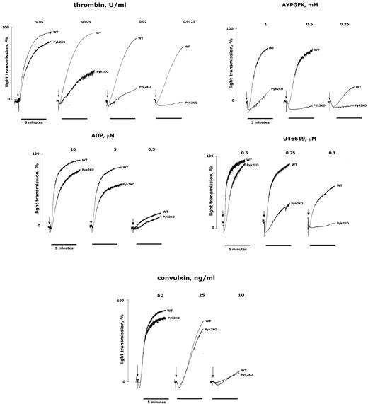 Figure 3. Aggregation of Pyk2-deficient platelets. Washed platelets from WT and Pyk2-KO mice were stimulated in an aggregometer with different concentrations of thrombin, AYPGFK, ADP, U46619, or convulxin, as indicated in each panel. For ADP-induced aggregation, 200 μg/mL of fibrinogen was added to the platelet suspension before stimulation with the agonist. Aggregation was monitored as the increase of light transmission up to 5 minutes. Tracings in the figure are representative of at least 3 different experiments.