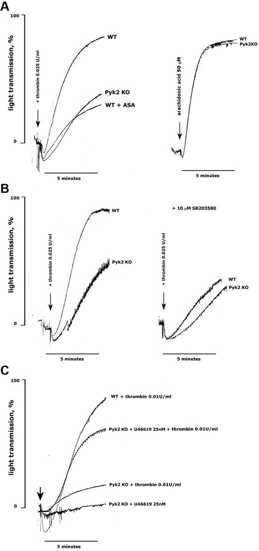 Figure 7. Reduced TxA2 production is responsible for the defective aggregation of Pyk2-deficient platelets. Aggregation of platelets from WT and Pyk2-KO mice was monitored as an increase of light transmission up to 5 minutes on stimulation with thrombin, arachidonic acid, or U46619, as indicated in each panel. When indicated, platelets were preincubated with aspirin (ASA, 1mM, 30 minutes) or SB203580 (10μM, 10 minutes). Equivalent volumes of DMSO as vehicle were added to control samples. The arrows indicate the addition of the agonists. Traces in the figures are representative of at least 3 different experiments.