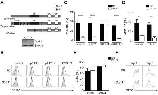Figure 2. Stx11−/− murine model and complementation of the observed degranulation defect. (A) Top panel: Schematic representation of the approach designed to delete the exon 3 of stx11 in mice. Bottom panel: stx11 (top inset) and β-actin (bottom inset) expression in WT (+/+) and Stx11−/− CD8 T cells. (B-F) Spleen CD8 T cells from Stx11−/− and control B6 mice were activated in vitro. (B) Control B6 (top row) and Stx11−/− (bottom row) CD8 T cells were cotransfected or not (control) with a plasmid coding for CFP (pCFP) alone or together with a plasmid coding for WT STX11 (pSTX11) or a truncated form of STX11 (pSTX11-T). After transfection, degranulation was assessed on stimulation with medium only (filled histogram) or anti-CD3 antibody (black line). (C) Graphs represent the mean ± SEM (n = 4) change in cell surface CD107 on control B6 cells (black bars) and Stx11−/− cells (open bars) cotransfected or not (control) with a plasmid coding for CFP alone (pCFP) or together with a plasmid coding for WT STX11 (pSTX11) or a truncated form of STX11 (pSTX11-T). **P < .001. (D) Graphs represent mean ± SEM (n = 3) change in cell surface expression of CD107 on control B6 (black bars) and Stx11-deficient cells (white bars) activated in the presence (right panel) or not (left panel) of 1000 U/mL of recombinant IL-2. (E) Graph represents mean ± SEM (n = 6) of percentage of activated CD8 T cells positive for CD25 (left panel) and CD44 (right panel). (F) Representative histograms of CFSE dilution after 3 (left panel) and 5 (right panel) days of culture of control B6 (top row) and Stx11-deficient (bottom row) CD8 T cells.