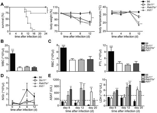 Figure 3. LCMV-infected Stx11−/−, Rab27a−/−, and Prf1−/− mice display phenotypic manifestations of HLH of variable intensity. Stx11−/− (open bars/open squares), Rab27a−/− (light gray bars/gray triangles), Prf1−/− (dark gray bars/gray circles), and control B6 (black bars/black squares) mice were infected with 200 pfu of LCMV-WE. Clinical and biochemical parameters were determined after infection. (A) Survival, body weight, and body temperature. Survival was analyzed with a log-rank test (n = 12-16). *P < .05. ***P < .001. (B) White blood cell counts. ***P < .001. (C) Red blood cell and platelets counts. ***P < .001. (D) The time course of neutrophil counts. ***P < .001. (E) Serum aspartate aminotransferase (ASAT) and LDH levels in infected mice were analyzed on days 8, 12, and 20 after infection. **P < .01. ***P < .001. Data (mean ± SD) are representative of 4 independent experiments with at least 3 mice in each group.
