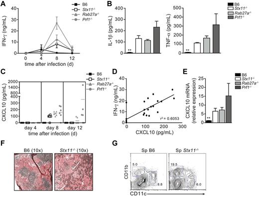 Figure 4. Different levels of inflammatory cytokines are detected in LCMV-infected Stx11−/−, Rab27a−/−, and Prf1−/− mice. Stx11−/− (open bars/open squares), Rab27a−/− (light gray bars/gray triangles), Prf1−/− (dark gray bars/gray circles), and control B6 (black bars/black squares) mice were infected with 200 pfu of LCMV-WE. (A) The time course of serum IFN-γ production. ***P < .001 for control B6 versus Stx11−/− and Rab27a−/− versus Prf1−/− at day 8. ***P < .001 for Stx11−/− versus Rab27a−/− and Stx11−/− versus Prf1−/− at day 8. ***P < .001 for Rab27a−/− versus Prf1−/− at day 8. (B) Serum IL-1β (left panel) and TNF-α levels (right panel) on day 12 after infection. (C) The time course of serum CXCL10 production. (D) Correlation between serum levels of IFN-γ and CXCL10 on day 8 after infection. (E) CXCL10 mRNA in spleen of infected mice. **P < .001. (F) Hematoxylin and eosin staining of representative spleen sections of control B6 (left panel) and STX11−/− (right panel) mice 3 weeks after LCMV infection. (G) FACS analysis of spleen cells from control B6 (left panel) and Stx11−/− (right panel) mice 3 weeks after LCMV infection, gated on I-Ab+ cells. Data (mean ± SEM) are representative of 3 independent experiments with at least 3 mice in each group.