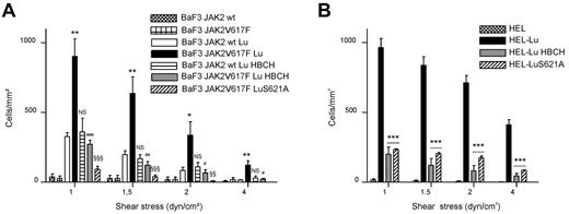 Figure 1. JAK2V617F increases BaF3-Lu and HEL-Lu adhesion to laminin via LuS621. Cell adhesion to laminin was measured under flow conditions using (A) BaF3 JAK2 wt or BaF3 JAK2V617F and (B) HEL cells expressing Lu or the LuS621A mutant. Cells were incubated or not incubated with the JAK2 inhibitor HBCH. Histograms indicate the mean number ± SEM of adherent cells per mm2 at each shear stress. Unpaired t test, (A) *P < .05, **P < .01, compared with BaF3 JAK2 wt Lu; #P < .05, ##P < .01, ###P < .001, compared with BaF3 JAK2V617F Lu; §§P < .01, §§§P < .001, compared with BaF3 JAK2V617F Lu; NS, nonsignificant, compared with BaF3 JAK2 wt Lu, (n = 6); (B) ***P < .001, compared with HEL-Lu (n = 3).
