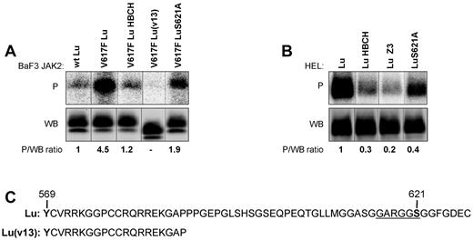 Figure 2. Effect of JAK2V617F on Lu phosphorylation in BaF3 and HEL cells. Quantification of Lu, Lu(v13), and LuS621A phosphorylation in (A) BaF3 and (B) HEL cell lines in the presence or absence of JAK2 inhibitors HBCH or Z3. The top (P) and bottom (WB) panels show the phosphorylation and the total amount of the immunopurified proteins, respectively. The phosphorylated fraction is determined by the P/WB ratio, with the ratio of the first column being the reference value. The minor band in the WB panel A is believed to be the nonglycosylated precursor form of Lu/BCAM. It is also detected in HEL-Lu cells (B) but to a lesser extent, as in Figures 3A and 5C. Typical results of 5 (A) and 4 (B) independent experiments. (C) The cytoplasmic domain of Lu and Lu(v13). Lu(v13) cytoplasmic sequence is identical for both isoforms and includes a single tyrosine residue (Y569) predicted to be at the border of the membrane and the cytoplasmic domains. The Lu 40 extra a.a. comprise the GARGGS motif (underlined) that is similar to the Akt consensus motif RXRXXS/T.