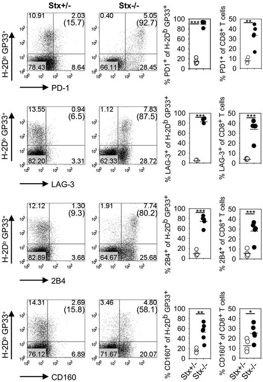 Figure 4. CD8 T cells of Stx11−/− mice express inhibitory receptors. Stx11+/− (○) and Stx11−/− (●) mice were infected intravenously with 200 PFU LCMV. After gating on CD8 T cells, GP33-specific cells were phenotyped for expression of inhibitory receptors PD-1, LAG-3, 2B4, and CD160. Inserted numbers indicate percentages of H-2Db GP33-tetramer-positive CD8 T cells, which express the respective exhaustion marker. FACS illustrations are representative for the mouse groups; graphs represent data for individual mice. Horizontal lines in graphs represent mean values. Data (mean ± SEM) represent 2 independent experiments with 2 or 3 mice per group. *P < .05 (Student unpaired t test). **P < .005 (Student unpaired t test). ***P < .001 (Student unpaired t test).