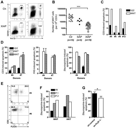 Figure 7. MAIT cells, similar to iNKT cells, are more prone to apoptosis than conventional T cells. (A) Flow cytometry analysis of MAIT cells (CD3+TCRVα7.2+CD161+). MAIT cells from PBMCs of 2 healthy donors (Ctr.) and 2 XIAP patients (XIAP) were detected by staining with anti-TCRVα7.2 and anti-CD161 antibodies and analyzed after gating on CD3+ cells. (B) Comparison of numbers of MAIT cells (TCRVα7.2+CD161+) in CD3+ lymphocytes from PBMCs of control healthy donors (Ctr.; n = 15), SAP-deficient patients (SAP; n = 5) and XIAP-deficient patients (XIAP; n = 16). Bars correspond to mean values of each group of cell numbers, unpaired t test (***P < .001). (C) Apoptosis of ex vivo MAIT and Vβ2 T cells from PBMCs of 4 healthy donors (Nos. 4, 6, 9, and 12) after stimulation with anti-CD3 antibody or staurosporine for 8 hours. (D) Apoptosis of cultured MAIT cells stimulated with anti-CD3 or anti-FAS antibodies. Data correspond to 1 experiment in duplicate (error bars correspond to SD) with 2 donors (Nos. 4 and 7). (E) Active caspases were detected by flow cytometry using FLICA in ex vivo MAIT cells from 2 healthy donors (Nos. 4 and 6) after gating on CD3+TCRVα7.2+CD161+. (F) Apoptosis of ex vivo MAIT and iNKT cells from PBMCs of 2 XIAP-deficient patients (P.1 and P.2 in Figure 1B) and from 1 healthy donor (No. 9) stimulated with staurosporine for 8 hours. Data correspond to 1 experiment. (G) Staurosporine induced apoptosis of ex vivo MAIT cells targeted by a control shRNA (sh-control) or a shRNA specific for PLZF (sh-PLZF-1-). Four independent experiments (n = 4) with 2 different donors (Nos. 21 and 22). Mean ± SD; paired, 2-tailed t test (*P < .05).