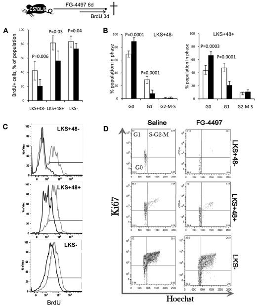 Figure 3. FG-4497 decreases HSPC proliferation in vivo. A total of 20 mg/kg of FG-4497 (black bars) or saline (white bars) was administered daily into C57BL/6 mice for 6 days. BrdU was administered in the drinking water for the last 3 days of the experiment. (A) Percentage of BrdU+ cells. Data are show as the means ± SD from 5 mice per group. (C) Typical BrdU incorporation profiles for saline-treated (gray) and FG-4497–treated (black) mice. (B,D) Cell-cycle analysis on LKS+48+ HPCs and LKS+48− HSCs from mice treated with FG-4497 or saline. Representative dot plots showing the proportion of cells in each phase of the cell cycle after in vivo treatment with FG-4497 or saline. Data are shown as the means ± SD from 5 different mice per treatment group. Significance levels were calculated using a t test.