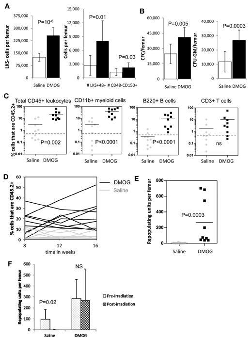 Figure 6. HSPC radiation resistance increased by HIF-1α protein stabilization in vivo. Mice were treated with saline or DMOG for 18 days, irradiated with 9.0 Gy, and the BM harvested 7 weeks later (see timeline in Figure 5A). Shown are the numbers of LKS+48− HSCs, LKS+48+ lineage-restricted HPCs, and LKS− myeloid progenitors (A) and total CFCs and CFU-GMs (B) in mouse BM 50 days after 9.0 Gy of irradiation. Data are shown as the means ± SD from 6 mice per group. (C) Competitive repopulation assay at day 36 (week 5) after 9.0Gy irradiation following a pre-treatment with DMOG or saline for 18 days (see timeline in Figure 5A). BM cells from 10 CD45.2+ donor mice per treatment group were pooled within each treatment group. A total of 200 000 CD45.2+ BM cells from each treatment group were transplanted with 200 000 competitive whole BM cells from untreated congenic B6.SJL CD45.1+ mice into 9 lethally irradiated CD45.1+ recipients. (C) Percentages of CD45.2+ donor contribution in total CD45+ leukocytes, CD11b+ myeloid cells, B220+ B cells, and CD3+ T cells 16 weeks after transplantation. Data are shown as the means ± SD from 9 mice per group. Each symbol represents an individual recipient mouse, bars are averages, dotted lines represent the 0.5% CD45.2+ threshold above which chimerism was considered to be positive. (D) Percentage of CD45.2+ donor leukocytes in the blood at 8, 12, and 16 weeks after transplantation. Each line represents an individual mouse (black lines are DMOG-treated donors; gray lines are saline-treated donors). (E) Number of RUs/femur from donor chimerism at 16 weeks after transplantation. (F) Comparison of RUs/femur in mice treated with DMOG or saline before (Figure 4C) and 50 days after (Figure 6C) 9.0 Gy of irradiation. Data are shown as the means ± SD from 9 mice per group. Significance levels were calculated using a t test (A-B) or a Mann-Whitney test (C,E,F). NS indicates not significant.