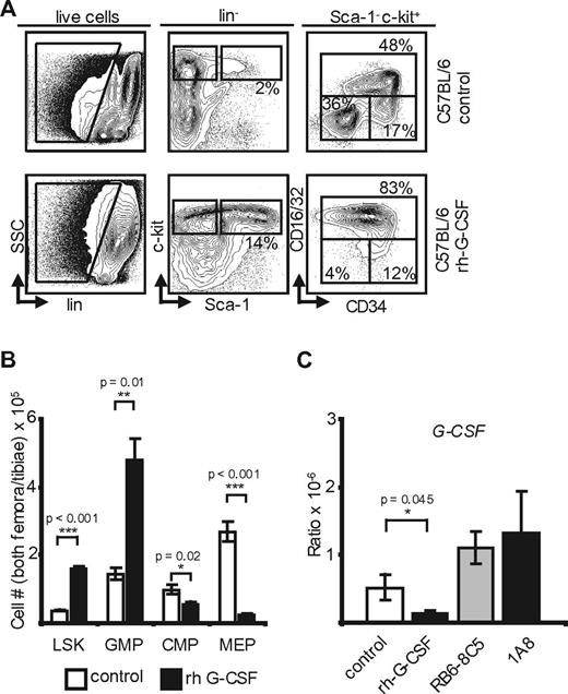 Figure 3. Exogenous G-CSF yields changes similar to neutropenia and reveals transcriptional regulation of G-CSF in the marrow. (A) Marrow flow cytometry in control and rh-G-CSF–treated C57BL/6 mice (n = 5). (B) Absolute marrow cell numbers in both hind limbs of C57BL/6 mice after rh-G-CSF (n = 5) versus PBS (n = 3). rh-G-CSF: p(LSK) < 0.001; p(GMP) = 0.01; p(CMP) = 0.02; p(MEP) < 0.001. (C) Transcriptional G-CSF levels in the marrow of control-, rh-G-CSF–, RB6-8C5–, and 1A8-treated C57BL/6 mice. Note the increase of G-CSF on neutropenia and the negative feedback at the RNA level after application of rh-G-CSF. p(rh-G-CSF) = 0.045; p(RB6-8C5) = NS; p(1A8) = NS.