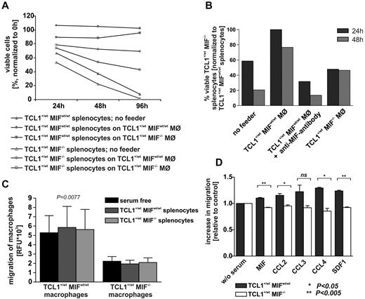 Figure 4. Macrophages support CLL cells in culture. (A) Viable (annexin V/propidium iodide-negative) cells in coculture of murine TCL1+/wtMIFwt/wt and TCL1+/wtMIF−/− CLL cells with thioglycollate-elicited peritoneal macrophages from TCL1+/wtMIFwt/wt or TCL1+/wtMIF−/− mice. The figure shows 1 representative example of n = 5 independent experiments. (B) Viable (annexin V/propidium iodide-negative) cells in coculture of murine TCL1+/wtMIFwt/wt and TCL1+/wtMIF−/− CLL cells with thioglycollate-elicited peritoneal macrophages from TCL1+/wtMIFwt/wt or TCL1+/wtMIF−/− mice. Addition of neutralizing anti-MIF antibody (IIID9, 100 μg/mL) leads to reduced viability. Representative experiment from a total of 2 independent experiments. (C) Migratory activity of peritoneal macrophages in trans-well experiments toward TCL1+/wtMIFwt/wt or TCL1+/wtMIF−/− B cells depends on MIF status of the macrophages. RFU indicates relative fluorescence units. P = .0077. Figure shows representative results of n = 5 experiments. (D) Gradient-triggered migratory activity of murine TCL1+/wtMIFwt/wt and TCL1+/wtMIF−/− peritoneal macrophages in the presence of MIF (100 ng/mL), CCL2 (100 ng/mL), CCL3 (10 ng/mL), CCL4 (100 ng/mL), and SDF-1 (100 ng/mL). Only TCL1+/wtMIFwt/wt macrophages are reactive to the action of chemokines (n = 3).