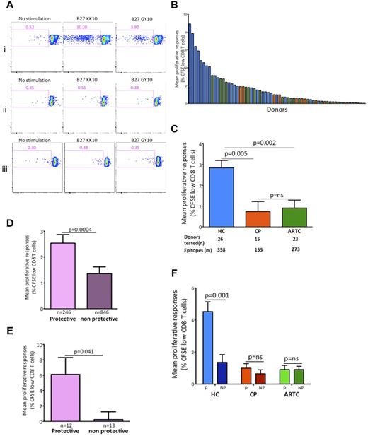 Figure 2. Protective HLA class I alleles drive the differences in HIV-1–specific CD8 T-cell proliferative capacity between controllers and ART-treated or untreated progressors. (A) Flow cytometry of CFSE-labeled CD8 T cells from 3 representative HLA-B*2705 subjects incubated with no antigen, the B*2705-restricted HIV-1 optimal epitope B*2705-KK10, or the HIV-1 optimal epitope B*2705-GY10. Numbers in top left quadrants indicate percent CD3+CD8+CFSElow cells. Whereas robust proliferative responses were observed in the HIV-1 controller subject (i), no significant responses were present in the progressor (ii) or ART-treated (iii) subjects. Responses to both epitopes were detected by IFN-γ Luminex assay in all 3 subjects studied. (B) Hierarchical representation of HIV-1–infected subjects based on their mean proliferative response to panels of HLA-class I matched HIV-1 epitopes. Bars represent data for individual subjects. (C) Statistical analysis of mean proliferative responses among the 3 groups of HIV-1–infected subjects in the discovery cohort (n = 64). HC indicates HIV-1 controllers; CP, chronic progressors; and ARTC, ART-treated subject. (D) Statistical comparison of mean proliferative responses to epitopes restricted by protective versus nonprotective HLA-I alleles in all subjects. (E) Representative single-donor HIV-specific cytotoxic T-lymphocyte (CTL) proliferative responses stratified by protective and nonprotective restricting alleles. (F) Statistical analysis of intraindividual proliferative responses stratified by protective versus nonprotective HLA-I alleles in controllers, progressors, and ART-treated subjects. Throughout the figure, HC data are represented in blue; CP in red; and ARTC in green; protective HLA class I alleles (B*5701/03, B*2705 and B*5801) are shown in purple; and nonprotective HLA I alleles in orange. All comparisons of adjusted means were performed using generalized linear models controlling for clustering within subjects. Comparison of mean proliferative responses among the 3 groups were done by ANOVA, followed by posttest comparisons with Tukey. Comparisons of protective versus nonprotective alleles were performed with Student t test. Vertical interval bars correspond to the SEM.