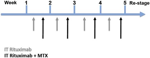 Figure 1. Protocol schema of twice-weekly intraventricular rituximab. The first treatment each week was rituximab as monotherapy; the second treatment each week consisted of rituximab immediately followed by the intraventricular administration of MTX.