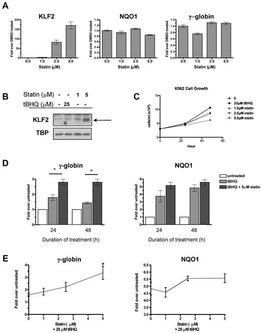 Figure 1. Statin increases KLF2 expression and enhances tBHQ-induced γ-globin gene expression. (A) Effect of statin on KLF2, NQO1, and γ-globin steady-state mRNA levels. K562 cells were treated with increasing doses of statin for 24 hours before RNA isolation. (B) Effect of statin on KLF2 nuclear protein levels. K562 cells were treated with 25μM tBHQ or 1 or 5μM of statin for 24 hours before nuclear protein harvest. (C) Effect of tBHQ and statin on K562 cell growth. 3.0 × 105 cells were treated with 25μM tBHQ or 1, 2.5, or 5μM statin and counted at 24 and 48 hours. (D) Effect of tBHQ and combination of tBHQ and statin treatment on γ-globin and NQO1 steady-state mRNA levels at 24 and 48 hours. Results expressed as the fold increase over untreated controls. (E) Statin dose response enhances tBHQ-induced γ-globin and NQO1 steady-state mRNA levels. K562 cells were treated with 25μM tBHQ or 25μM tBHQ and statin (1μM-5μM) for 48 hours before RNA isolation. Real-time PCR results are expressed as the fold increase over untreated controls. Error bars represent ± SEM. *P < .05 compared with tBHQ alone.