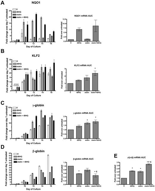 Figure 4. Simvastatin and tBHQ increase γ-globin mRNA and decrease β-globin mRNA in primary human erythroid cells. Human CD34+ peripheral blood cells were treated with simvastatin (statin) and tBHQ during in vitro erythroid differentiation. The effects of 5μM tBHQ, 5μM statin, and a combination of statin and tBHQ on gene expression were determined for NQO1 (A), KLF2 (B), γ-globin (C), and β-globin (D). For each gene studied, data are first presented from a single representative experiment at multiple time points during the erythroid phase of differentiation relative to untreated sample on day 7. Data from 3 independent experiments are also presented as the mean AUC for each gene. This data representation allows quantification of the total mRNA from each gene available for translation into protein over the full course of erythroid differentiation. (E) AUC for γ/(γ + β) mRNA. Error bars represent ± SEM. *P < .05 compared with untreated; #P < .05 compared with tBHQ; $P < .05 compared with statin (n = 3).