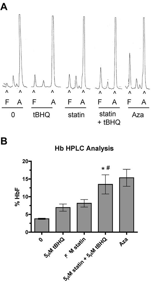 Figure 5. Combination of simvastatin and tBHQ increases the proportion of HbF in primary human erythroid cells more than either drug alone. Human CD34+ peripheral blood cells were treated with 5μM tBHQ, 5μM statin, and a combination of statin + tBHQ during in vitro erythroid differentiation. At the end of differentiation on day 20, cells were lysed and the proportions of HbA (A) and HbF (F) were determined by ion-exchange HPLC. (A) Representative HPLC traces. (B) Quantitation of HPLC traces from 3 independent experiments (2 different donors). Error bars represent ± SEM. *P < .05 compared with untreated; #P < .05 compared with tBHQ.