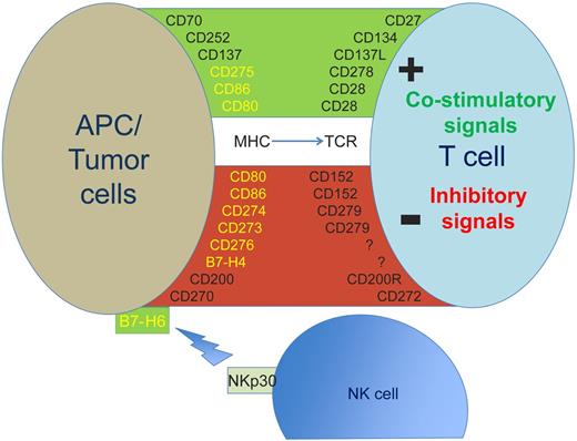 Figure 1. Expression of selected antigens expressed on the cell surface of PC or tumor cells and their costimulatory or inhibitory ligands on the surface of T cells or NK cells. B7 family members are shown in yellow. APC indicates antigen presenting cell; MHC, major histocompatibility complex; NK, natural killer cell; and TCR, T-cell receptor.