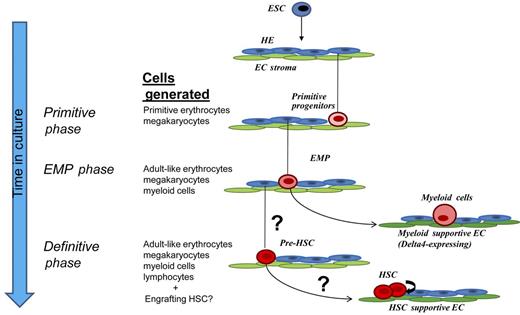 Platform described in Rafii et al for differentiation of human embryonic stem cells (ESCs) to hemogenic endothelium (HE) and subsequent waves of hematopoietic progenitor cells using endothelial cell (EC) co-culture. Sequential waves of transient primitive progenitors and erythroid/myeloid progenitors (EMPs) unique to embryonic development arise from populations of hemogenic endothelium with distinct hematopoietic potential, as revealed by single cell–lineage tracking described in their study. Dll4 expression in some types of vascular stroma was shown to specifically promote myelopoiesis from the more multipotent EMPs identified in the study. The capacity to generate precursors to the definitive hematopoietic stem cell program (pre-HSC) remains to be determined, but use of appropriate stage-/organ-specific vascular stroma could play a role in differentially promoting this phase of hematopoiesis and subsequently supporting HSC expansion. Adapted from Figure 5I in the article by Rafii et al on page 770.