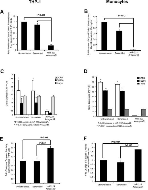 Figure 7. AntagomiR to miR-223 reduces macrophage differentiation and cell survival. In 6-well plates, THP-1 cells (0.5 × 106) and monocytes (1.0 × 106) were plated in 2.4 mL of media then transfected with miR-223 antagomiR and incubated with PMA or GM-CSF, respectively, in X-VIVO 15 medium. Both nonadherent and adherent cells were collected and analyzed for cellular differentiation and survival. Cellular adherence was measured by crystal violet assay in the antagomiR-transfected (A) THP-1 cells and (B) monocytes. Shown is the average absorbance for crystal violet ± SEM (n = 3 in duplicate). AntagomiR-transfected (C) THP-1 cells and (D) monocytes were analyzed for gene expression as indicated. The average relative copy number is shown ± SEM from 3 independent experiments. Caspase-3 assay was performed for (E) THP-1 cells (n = 3) and (F) monocytes (n = 5) transfected with the miR-223 antagomiR then treated with PMA or GM-CSF, respectively. Shown is the average fold change ± SEM compared with untransfected cells.