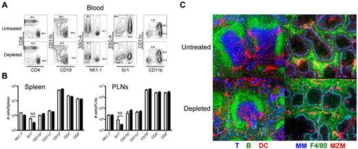 Figure 3. Platelet removal in the absence of infection does not affect the blood and SLO compartments. Mice were treated with PBS or 40 μg of anti-GPIIb antibody and killed 24 hours later. Blood, spleen, and peripheral lymphoid nodes (PLNs) were recovered and analyzed as described in “Methods.” (A) Flow plots of circulating immune cells in blood. Numbers indicate percentage of cells in each gate. (B) Number of immune cells in SLOs. Spleen and PLN cell populations after collagenase digestion, were counted, stained, and analyzed by flow cytometry. Open bars, PBS-treated controls; black bars, anti-GPIIb–treated mice. Error bars represent SEM. NS indicates nonsignificant. (C) Conserved splenic microarchitecture. Spleens were frozen in OCT medium, cut, and stained with antibodies to Thy1.2 (T cells, blue), B220 (B cells, green), and CD11c (DCs, red) or Moma-1 (metallophillic macrophages, blue), F4/80 (red pulp macrophages, green), and ER-TR9 (MZMs, red).