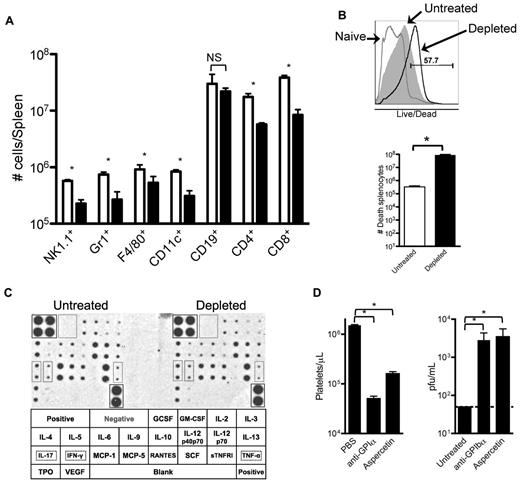 Figure 6. Reduced innate and adaptive immune cell populations in spleens of platelet-depleted infected animals correlates with an increase of necrotic splenocytes. Groups of mice were treated with PBS or 40 μg of anti-GPIIb antibody 12 hours before, and 2 and 4 days after LCMV Armstrong infection. (A) Splenic quantification of immune cells by flow cytometry. Collagenase-digested spleens of day 8 infected animals were quantified. (B) Detection and quantification of dead splenocytes. Flow cytometry analysis of day 8 postinfection splenocytes that were collagenase digested and stained with an in-house Alexa Fluor 430 dye protocol that detects disruptions of cell membranes. Top panel shows a representative histogram of the analysis gated on total splenocytes (gray histogram, untreated; empty histogram, depleted; numbers indicate percentage of positive cells). Bottom panel shows numbers of dead splenocytes. (C) Serum cytokine levels. Untreated and depleted animals were bled 24 hours after infection. Sera from each group were pooled and levels of 21 different circulating cytokines determined by a commercial immunoassay method with each cytokine detected in duplicate (n = 6). Bottom table shows the arrangement of the cytokines on the membranes, and 3 relevant cytokines (IL-17, IFNγ, and TNFα) were marked. (D) The absence of platelets, not the anti-GPIIb depletion protocol, is the defining factor. Mice were treated with PBS or with 2 different platelet-depleting reagents (anti-GPIbα or aspercetin), and serum viral titers were determined 8 days after infection. (A-B,D) Open bars, PBS-treated controls; black bars, platelet-depleted mice. Error bars represent SEM (*P < .05). NS indicates nonsignificant.