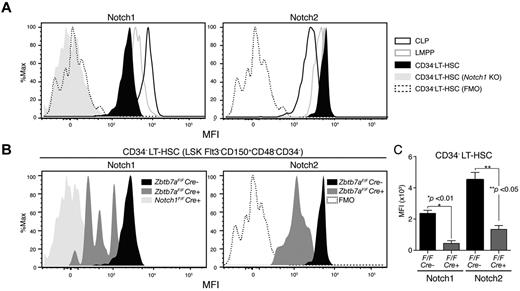 Figure 3. CD34− LT-HSCs expressing high levels of Notch are sensitive to Lrf inactivation. (A) Histograms show mean fluorescence intensity (MFI) for Notch1 and Notch2 in indicated HSC/progenitor compartments. Signal levels in Notch1-deficient LT-HSCs (N1 KO: Notch1Flox/FloxMx1-cre+) and fluorescence minus one (FMO) controls are also shown. CLP: Lin−IL7Rα+Flt3+CD48+; LMPP: Lin−IL7Rα−Sca1+c-Kit+Flt3+CD150−CD48+. (B) CD34− LT-HSCs expressing high levels of Notch are lost after Lrf inactivation. Representative FACS profiles for Notch1 and Notch2 in control (Zbtb7aFlox/FloxMx1-Cre−) and Lrf knockout (Zbtb7aFlox/FloxMx1-Cre+) mice. All mice were injected with pIpC 3 times, and Notch expression levels within the CD34− LT-HSC population analyzed 1 month after the last injection. Data for Notch1 KO, FMO, and control are same as those shown in panel A. (C) Graph shows MFI of Notch staining in control (black) and Lrf-deficient (red) CD34− LT-HSCs 1 month after the last injection. Error bars: standard deviation.