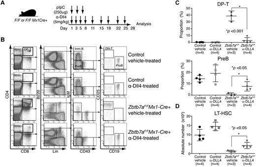 Figure 6. Dll4 blockade rescues aberrant HSC/lymphoid development in Lrf knockout mice in vivo. (A) Treatment schedule: 9 dosages of anti-Dll4 antibody were administered intraperitoneally over 4 weeks. Mice were treated with pIpC (250 μg/mouse) on days 1, 4, and 7. (B) Hematopoietic development in the BM was analyzed on day 28. Representative FACS profiles for each group are shown. (C) Dot graph shows proportions of DP T (top) and pre-B cell compartments (bottom) in BM. Horizontal black bars: average value; error bars: standard deviation. (D) Dot graph shows numbers of LT-HSCs per 2 legs on day 28. Horizontal black bars: average value; error bars: standard deviation.