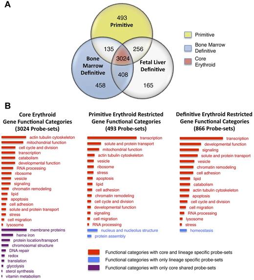 Figure 4. Functional annotation of the erythroid transcriptomes. (A) Venn diagram indicating lineage restriction of moderate and abundant probe sets. Primitive erythroid probe set expression is exclusive to the primitive erythroid lineage (yellow), adult definitive-restricted probe set expression includes BM erythroid expression as well as probe sets expressed in both the BM and the fetal definitive erythroid lineage (blue). (B) Functional annotation of shared and lineage-restricted probe sets based on DAVID clustering22 were further grouped to reduce complexity. Bar length indicates the relative number of probe sets within each column associated with a functional category. Bar color indicates whether the functional category contains probe sets present in all (core) erythroid cells as well as probe sets restricted to one or both lineages (red), only probe sets found in all erythroid cells (purple), or probe sets restricted to specific lineages (blue). Although the probe sets constituting primitive erythroid, definitive erythroid, and core erythroid functional categories are nonoverlapping, specific probe sets may be listed in more than one functional category. Lists of probe sets that constitute each functional category are available in supplemental Table 4.