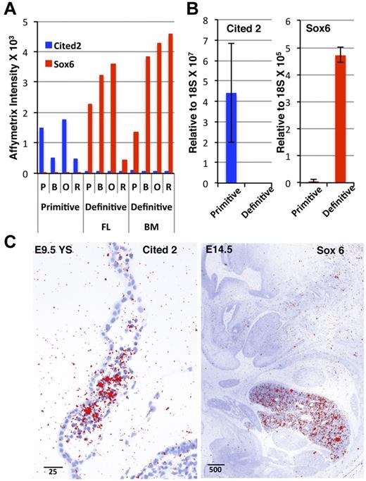Figure 5. Erythroid lineage-restricted expression patterns of Cited2 and Sox6. (A) Affymetrix intensity indicates erythroid lineage–restricted expression of the transcription factors Cited2 and Sox6. (B) qPCR quantitation of Cited2 and Sox6 expression in primitive basophilic erythroblasts from E10.5 blood and definitive basophilic erythroblasts from adult BM. (C) In situ hybridization reveals Cited2 expression in primitive erythroid cells within the blood islands of the E9.5 yolk sac (left) and Sox6 exon 1E expression in the E15.5 fetal liver.