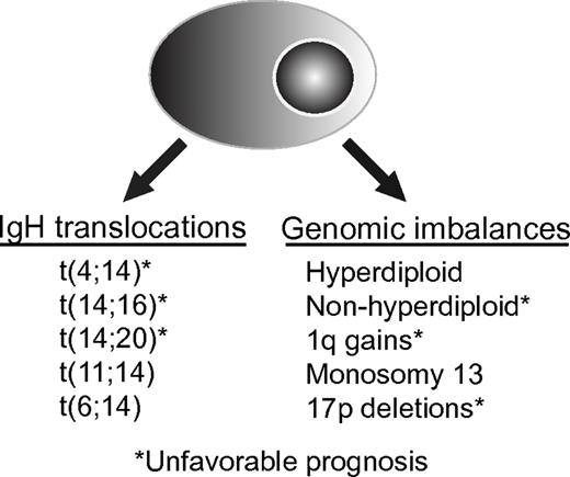 Figure 1. Genetic classifications of MM. The most commonly recognized high-risk genetic features are t(4;14) and del17p detected by FISH on either CD138-selected BM cells, or with the identification of clonally restricted plasma cells staining for cytoplasmic light chain immunoglobulin