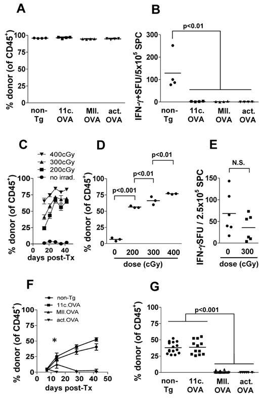 Figure 1. Targeting antigens with the CD11c promoter permits engraftment of antigen-encoding BM under immune-preserving conditions. (A-B) B6.SJL (CD45.1 congenic) mice were irradiated (1100 cGy) and BM (107) from C57Bl/6 (non-Tg), 11c.OVA, MII.OVA, or actin.OVA (act.OVA) mice injected intravenously. Six weeks later engraftment was assessed in peripheral blood leukocytes (PBL) by flow cytometry (A) and mice immunized with OVA/QuilA. A further week later spleens were harvested and IFN-γ production in response to OVA257-264 determined by ELISpot (B). (C-D) B6.SJL recipients were irradiated (200, 300, 400 cGy) and C57Bl/6 (non-Tg) BM (2 × 107) transferred intravenously. At the designated time-points, PBL (C) or 6 weeks after transfer spleens (D) were analyzed by flow cytometry. (E) C57BL/6 (non-Tg) mice were irradiated, rested for 2 weeks, immunized with KLH/QuilA, and then 7 days later splenocytes prepared and IFN-γ ELISpots performed. (F-G) B6.SJL recipients were irradiated (300 cGy) and C57Bl/6 (non-Tg), 11c.OVA, MII.OVA, or actin.OVA (act.OVA) BM (107) transferred intravenously. At the designated timepoints PBL (F) or 6 weeks after transfer, spleens (G) were analyzed by flow cytometry. Data are shown for individual mice pooled from 2 experiments (A-B), mean ± SD (n = 3; C), individual mice (D) from a representative experiment, mean ± SD (n = > 6 mice per group except d42, n = > 4/gp; F), or individual mice pooled from 2 (E), or 4 or more experiments (F-G). *MII.OVA @ d14 is greater than MII.OVA at d7, 28, 42, and less than 11c.OVA and non-Tg @ d14 (P < .001).