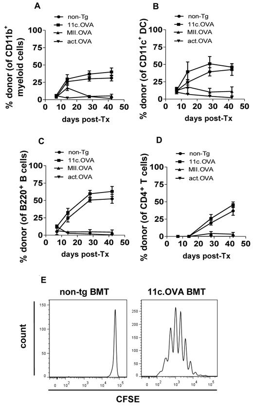 Figure 2. OVA-presenting dendritic cells develop after transfer of 11c.OVA BM. (A-E) B6.SJL (CD45.1 congenic) mice were irradiated (300 cGy) and BM (107) from C57Bl/6 (non-Tg), 11c.OVA, MII.OVA, or actin.OVA (act.OVA) mice injected intravenously. At the designated timepoints PBL were analyzed by flow cytometry (A-D). Four weeks after BM transfer CFSE-labeled CD45.1+ OT-I cells were transferred intravenously to non-Tg and 11c.OVA BM recipients. Three days later LNs were recovered and CFSE dilution in OT-I (CD45.1+CD8+) T cells were assessed by flow cytometry. Data are mean ± SD (n = 4-10) pooled from 2 or more experiments (A-D) or representative of 2 mice analyzed in 2 separate experiments (E).
