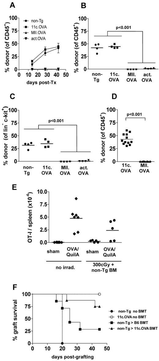 Figure 5. Restricting antigen expression to CD11c+ DCs permits BM engraftment and tolerance induction in primed recipients. (A-C) B6.SJL (CD45.1+) recipients were immunized (OVA/QuilA) and 2 weeks later irradiated (300 cGy) and BM (107) from C57Bl/6, 11c.OVA, MII.OVA or actin.OVA (act.OVA) mice injected intravenously. At the depicted times (A) or 6 weeks later (B-C) donor leukocytes were enumerated in blood (A) or spleen (B) and lin−c-kit+ HPC enumerated in BM (C). (D-E) Memory OT-I T cells were transferred to B6.SJL mice and 1 week later mice were irradiated (300 cGy) and BM (1 × 107) from non-Tg, 11c.OVA or MII.OVA mice injected intravenously. Six weeks later donor leukocytes were enumerated in spleen using flow cytometry (D) or mice were sham or OVA-challenged and OT-I cells (CD45.1+CD8+Va2+) in spleen enumerated (E). (F) C57Bl/6 mice were irradiated (300 cGy) and BM (107) from C57Bl/6 or 11c.OVA mice injected intravenously. Four weeks later mice were double-grafted with skin from K14.mOVA mice and BALB/c allogeneic controls and graft survival monitored. Data represent mean ± SD from n = 4/group (A), individual mice pooled from a minimum of 2 experiments (B-E), or data pooled from 2 experiments (F).