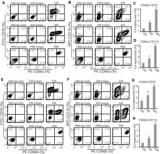 Figure 5. Granulocytes induced by Am80 coexpress CD66 and CD18 surface markers at a higher level than do those induced by G-CSF. (A-D) Flow cytometric analyses of G-CSF– versus Am80-induced granulocytes in coexpression of CD66a-CD18 and CD66a-CD11b surface markers (*GINs versus AINs. CD66a-CD18, P < .003; CD66a-CD11b, P < .028). (E-H) Increased induction of both CD66b-CD18 and CD66b-CD11b surface markers in Am80 versus G-CSF–induced granulocytes (*GINs versus AINs; CD66b-CD18, P < .047; CD66b-CD11b, P < .033). Corresponding isotypes and nonstaining (blank cells) served as controls.