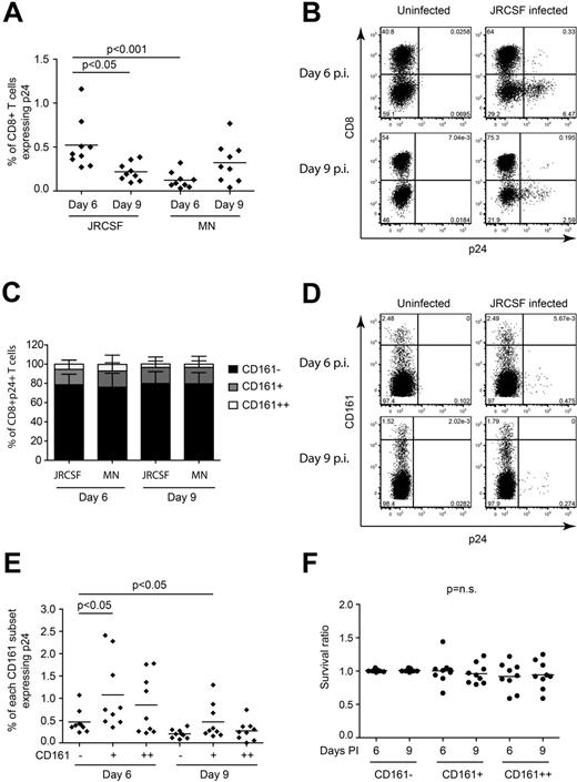 Figure 5. CD161++/MAIT cells are not preferentially infected in vitro. PBMCs from healthy subjects (n = 9) were activated with PHA, cultured in rhIL2 and rhIL7, and infected with a CCR5-tropic virus (JR-CSF) or CXCR4 tropic virus (MN) at an MOI of 10. FACS analysis was performed on days 6 and 9 after infection as described in “Methods.” The gating strategy is shown in supplemental Figure 9B through D. (A) CD8+ T cells were infected at a low frequency by both viruses, with the greatest frequency of p24+ cells observed on day 6 after infection with JR-CSF. (B) Representative FACS plots of CD3+ lymphocytes from day 6 after infection with JR-CSF. (C) When gating on the total p24+CD8+ T cells, the majority of the infected CD8+ T cells were found in the non-MAIT CD161−CD8+ T-cell population on both day 6 and day 9 after infection with JR-CSF virus. (D) Representative FACS plots of p24 staining of CD8+ T cells mock infected or infected with JR-CSF. (E) Comparison of the frequency of infection within the CD161++/MAIT, and non-MAIT CD161+ and CD161−CD8+ T-cell populations. CD161++/MAIT cells were infected, but not more frequently than either the non-MAIT CD161− or CD161+CD8+ T-cell populations on either day 6 or day 9 after infection with JR-CSF virus. (F) There was no significant difference in the survival of the cells in the HIV infected cultures compared with the uninfected cultures. Cell survival ratio was calculated by normalizing the frequency of CD161++/MAIT cells in the infected culture to that of the uninfected culture.