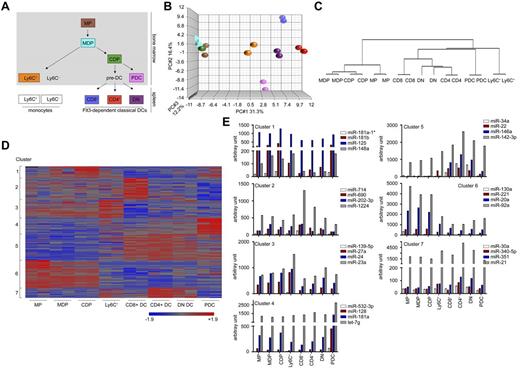 Figure 1. Mononuclear phagocyte populations are characterized by specific miRNA-expression profiles. (A) Schematic of the development and relationship between the populations of the mononuclear phagocyte network. Framed and colored populations were sorted and investigated in this study. (B) Principal component analysis of the miRNA microarray results obtained from the 8 phagocyte populations. Each symbol represents a microarray dataset and for each population, color-coded as in panel A, duplicates were performed. (C) Hierarchal clustering of miRNA-profiling data revealed a clear separation of the various cells and reflects the developmental relationships consistent with the established tree. (D) K-means clustering of miRNAs that showed an at least 2-fold differential expression in 1 of the 8 cell populations tested. A total of 136 miRNAs could be divided into 7 defined clusters. Intensities of red and blue refer to increased or decreased miRNA expression, respectively. The full list of miRNAs and expression values can be found in supplemental Table 1. (E) Mean arbitrary expression signal intensities for 4 representative miRNAs of cluster 1-7. Normalized and standardized expression levels obtained from the 2 individual miRNA chips as depicted in supplemental Table 1 were averaged and converted to anti-log arbitrary expression values. Note the high expression of miR-142 in the DC compartment.