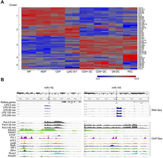 Figure 2. miR-142 is a candidate miRNA governing DC subset specification. (A) K-means clustering of the 50 highest expressed miRNAs in the 8 mononuclear phagocyte subsets tested. DC-specific miRNAs (cluster 3) that are located inside protein-coding transcriptional units are indicated by asterisks (*). (B) Genomic localization and transcriptional control of miR-142 (left) and miR-155 (right). ChIP-Seq data of mRNA obtained from murine BM-derived DCs under steady-state conditions and at various time points (30, 60, 120, and 240 minutes) after 100 ng/mL of lipopolysaccharide exposure (shown only for transcript reads and polymerase activity). The binding of transcription factors is shown under physiologic conditions. A full description of the RNA-Seq and ChIP-Seq data can be found in Garber et al.33