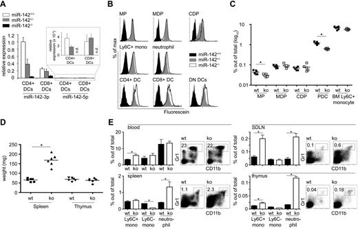 Figure 3. Loss of miR-142 affects the composition of the myeloid compartment in vivo. (A) Quantitative real-time PCR of splenic CD4+ and CD8α+ DCs isolated from miR-142+/+, miR-142+/−, and miR-142−/− mice. The detection of miR-142-3p and miR-142-5p was normalized to endogenous U6 levels. All expression levels were calculated to the miR-142-3p level in miR-142+/+ CD4+ DCs. Note the reduced expression of miR-142-3p in WT CD8α+ DCs compared with CD4+ DCs. (B) β-Galactosidase activity in ex vivo myeloid cell populations isolated from miR-142+/+ (black filled), heterozygous mutant miR-142 LacZ knock-in mouse (gray filled), or homozygous mutant miR-142 LacZ knock-in mouse (white filled) as determined by the FACS-FDG assay. (C) Quantification of mononuclear phagocyte populations in the BM of miR-142–deficient mice and control animals. Only MPs (0.044% ± 0.009% and 0.031% ± 0.005% of total BM cells in WT and miR-142−/− mice, respectively) and pDCs (1.2% ± 0.18% and 0.6% ± 0.05% of total BM cells in WT and miR-142−/− mice, respectively) showed significant reduced cell numbers in miR-142−/− mice. (D) Splenomegaly in 6-week-old miR-142−/− mice (65.2 ± 8.5 vs 168 ± 30.2 mg in WT and miR-142−/− mice, respectively). Thymi showed no obvious weight changes (68.5 ± 8.5 vs 63.3 ± 11.2 mg in WT and miR-142−/− mice, respectively). (E) Flow cytometric analysis of primary (thymi) and secondary lymphoid organs (skin draining lymph nodes, mesenteric lymph nodes, and spleens) for the infiltration of myeloid cells in miR-142−/− and miR-142+/+ mice. Neutrophils were identified as CD115−CD11b Gr1+; Ly6C+ monocytes as CD115+CD11b+Gr1+; and Ly6C− monocytes as CD115+CD11b+Gr1−. Three animals in an age of 6 weeks were used in each group. *P < .05 was considered significant using a Student 2-tailed t test.