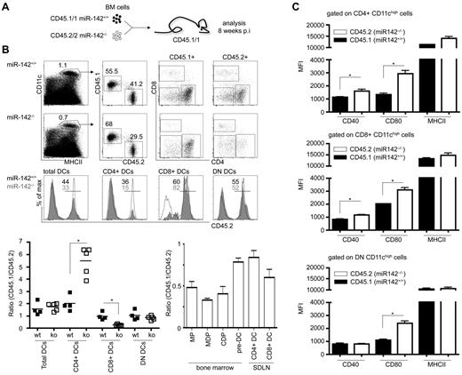 Figure 5. The developmental defect of CD4+ DCs in the absence of miR-142 is cell intrinsic. (A) Schematic experimental outline of mixed BM reconstitution experiment. (B) Flow cytometric analysis of miR-142+/+ (CD45.2)/WT (CD45.1) > WT (CD45.1) and miR-142−/− (CD45.2)/WT (CD45.1) > WT (CD45.1) chimeric animals 8 weeks after transplantation for contribution of distinct miR-142 genotypes to the 3 cDC populations (left panel) and BM precursors, respectively. For miR-142+/+/WT > WT mice: CD45.1/2 ratios: for CD8α+ DCs, 0.97 ± 0.31; for CD4+ DCs, 2.01 ± 0.64; for DN DCs, 1.03 ± 0.39; for miR-142−/−/WT > WT mice: CD45.1/2 ratios: for CD8α+ DCs, 0.26 ± 0.07; for CD4+ DCs, 5.48 ± 1.15; and for DN DCs, 0.84 ± 0.17. CD45.1/CD45.2 ratios were calculated for each investigated cell population. Values > 1 indicate out-competition of the mutant by WT (CD45.1) cells, whereas values < 1 show an advantage of miR-142−/− (CD45.2) cells. Representative results from 1 of 2 independent experiments are shown (means ± SD) with at least 4 animals in each group. SDLN indicates skin draining lymph nodes. (C) Mean fluorescence intensity (MFI) of CD40, CD80, and MHCII expression on miR-142–competent (CD45.1+) and miR-142–deficient (CD45.2+) CD4+, CD8α+, and DN DCs isolated from mixed chimeras. Representative results from 1 of 2 independent experiments are shown (means ± SD) with 3 animals in each group.