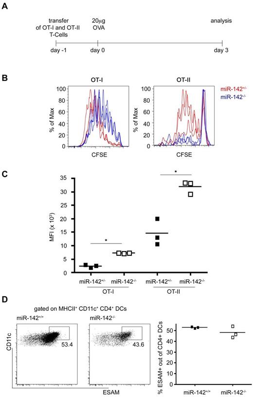 Figure 6. CD4+ T-cell priming defect in miR-142−/− mice. (A) Schematic of the experimental protocol. (B) Flow cytometric analysis of T-cell grafts retrieved from immunized recipient mice indicating proliferated OT-I CD8+ T cells (left) and OT-II CD4+ T cells (right) cells in miR-142+/− (red) and miR-142−/− mice (blue). (C) Quantification of CFSE mean fluorescence intensity (MFI) of proliferated OT-I and OT-II cells. OT-II CFSE MFI WT 14 473 ± 4961 versus CFSE MFI knockout (ko) 31 812 ± 2316, P = .005. Each dot represents an animal. *P < .05 was considered significant using a Student 2-tailed t test. (D) Flow cytometric analysis of splenic CD4+ DCs isolated from miR-142−/− mice and littermate controls for the cell-surface molecule ESAM. Cells were gated on CD11c+ MHCIIhi and CD4+. Each dot represents an animal.