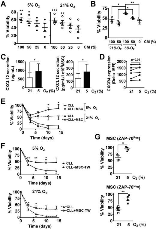 Figure 2. MSCs can provide survival support to CLL cells in vitro. (A) CLL cells were cultured in the presence of increasing concentrations of MSC conditioned media (CM), which was prepared in 5% O2, and exposed to either 21% or 5% O2 for 3 days, at which point the CLL cells were collected for viability measurements by flow cytometry. Data from 4 different CLL patients are presented (mean ± SEM), which were normalized to day 0. The initial absolute viability of all samples at day 0 was of 66% ± 6% (mean ± SEM). Asterisks indicate significant difference between CM conditions and media control values in 5% O2 and 21% O2 (1-way ANOVA and Tukey posthoc test; ***P < .001, **P < .01, *P < .05). (B) CLL cells were cultured for 3 days in the presence of increasing amounts of MSC CM, which was prepared by incubating MSCs either in 5% O2 or 21% O2 for 6 days. CLL-cell viability was assessed by flow cytometry. Data on cells obtained from each of 3 different CLL patients are presented (mean ± SEM), which were normalized to day 0. The initial absolute viability of all samples at day 0 was of 87% ± 2% (mean ± SEM). Asterisks indicate significant difference measured by 1-way ANOVA and Tukey posthoc test (**P < .01, *P < .05). (C) The presence of CXCL12 was quantified in MSC CM prepared by incubating MSCs either in 5% O2 or 21% O2 for 6 days by ELISA. Left: CXCL12 concentration in the CM; right: CXCL12 secretion rate per 1 × 105 MSCs was estimated by dividing CXCL12 concentration in the CM by the number of MSCs collected at the end of the 6-day culture period. The data presented were obtained from MSCs derived from each of 2 patients, each tested in 2 independent experiments (mean ± SEM). Asterisks indicate significant difference measured by Student t test. (*P < .05). (D) CXCR4 expression levels on CLL cells (n = 6) cultured for 24 hours in 5% or 21% O2 were assessed by flow cytometry, which was gated on CD19PosCD5Pos cells. CXCR4 expression is presented as the absolute mean fluorescence intensity (MFI), which was the MFI of CD19+CD5+ cells stained for CXCR4 minus the MFI of the same cells stained with an isotype control antibody. Student t test was used to determine statistical significance. (E-F) MSCs generated in 5% O2 were plated in parallel cultures at 1000 cells/cm2 and subsequently placed in 5% or 21% O2 for 2 to 3 days before the addition of CLL cells (1 × 106 cells/mL). CLL cells from 4 different patients (3 ZAP-70Neg, 1 ZAP-70Pos) were seeded in duplicate either alone, directly on MSCs (E), or separated from the MSCs by transwell (TW) porous membrane (0.4 μm; F). CLL-cell viability was assessed after 0, 3, 6, 10, or 14 days and normalized to that of the cells on day 0 (mean ± SEM; n = 4). The initial absolute viability of all samples at day 0 was of 74% ± 5% (mean ± SEM). In panel E an asterisk indicates the significant difference between the percentage live CLL cells on MSCs in 21% O2 and 5% O2 (Student t test; P < .05). In panel F asterisks (*) or (**) indicate a P < .05 or P < .01, respectively (Student t test) for the differences between CLL cells cultured alone or with MSCs. (G) CLL cells from 4 different patients (3 ZAP-70Neg and 1 ZAP-70Pos) were cocultured with MSCs that were derived from 2 different ZAP-70Neg patients (bottom) or 2 ZAP-70Pos CLL patients (top) for 14 days, at which point the cells were collected for viability assessment by flow cytometry. The viability data presented have been normalized to day 0 (mean ± SEM). The initial absolute viability of all samples at day 0 was 74% ± 6% for the 4 samples plated on MSCs from ZAP-70Pos patients, and of 73% ± 10% for the 4 samples plated on MSCs from ZAP-70Neg patients (mean ± SEM). Asterisks indicate significant difference measured by Student t test. (*P < .05; **P < .01).
