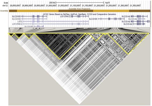 Figure 5. LD of SNPs with P < 10−5 in meta-analysis spanning SLCO1B3, LST-3TM12, SLCO1B1, and SLCO1A2 generated with the use of Haploview software21 in European-ancestry patients only (COG n = 806 and SJ n = 459). The darkness of each box represents the association between 2 SNPs (R2), with white being R2 = 0, black being R2 = 1, and 0 < R2 < 1 being shades of gray. LD blocks, highlighted with the yellow lines, were defined by confidence intervals.22 Assembly hg18 from http://genome.ucsc.edu used for display.