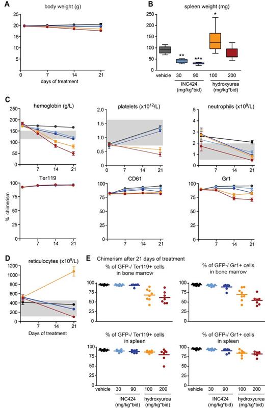 Figure 4. Analysis of mice treated with INC424, HU, or vehicle and transplanted with JAK2-V617F mutant (from MxCre;FF1 mice with a PV phenotype) and Jak2 wild-type (from UBC-GFP mice) BM cells in a 1:1 ratio. (A) Body weight during treatment. Black indicates vehicle (0.5% hydroxypropyl methylcellulose); bright blue, INC424 30 mg/kg BID; dark blue, INC424 90 mg/kg BID; orange, HU 100 mg/kg BID; and red, HU 200 mg/kg BID. (B) Spleen weights. Color coding is as in panel A. (C) Blood counts and flow cytometry data showing the chimerism (percentage of GFP− cells) after 21 days of treatment. (D) Reticulocyte counts. Color coding is as in panel A. (E) Chimerism in BM (top panel) and spleen (bottom panel) after 21 days of treatment. One-way ANOVA is shown for comparisons between the vehicle- and INC424- or HU-treated cohorts. ns indicates not significant.*P ≤ .05; **P ≤ .01; ***P ≤ .001.