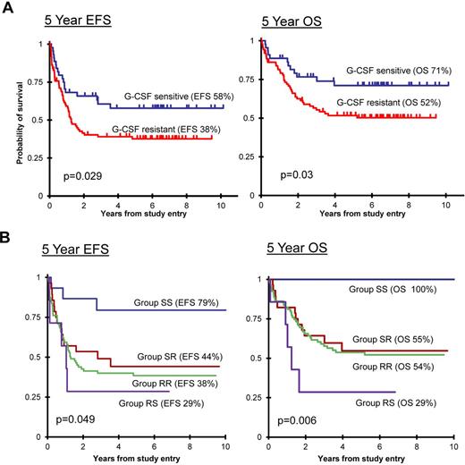 Figure 5. Ligand sensitivity was associated with outcome. (A) Kaplan-Meier survival curves demonstrate that patients whose blasts were sensitive to G-CSF (log2(ΔMFI) ≥ 1 at 1 or 10 ng/mL dose) had a superior EFS (left) and OS (right) compared with patients whose blasts did not respond at the lower dose levels (G-CSF resistant). (B) The sensitivity of blasts to both G-CSF and IL-6 also significantly predicted EFS (left) and OS (right). Group SS indicates G-CSF sensitive and IL-6 sensitive (log2(ΔMFI) ≥ 1 at dose level 2); group SR indicates G-CSF sensitive and IL-6 resistant; group RR indicates G-CSF resistant and IL-6 resistant; and group RS indicates G-CSF resistant and IL-6 sensitive.