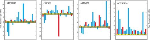 Figure 2. Real-time qRT-PCR validation of microarray data. Relative fold changes in the expression of genes selected from gene clusters A and B (Figure 1). Patients LH1 (1), LH2 (2), LH3 (3), LH4 (4), LH6 (5), LH7 (6), LH8 (7), LH9 (8), LH11 (9), LH12 (10), LH13 (11), LH15 (12), LH16 (13), LH17 (14), LH18 (15), LH19 (16), LH21 (18) LH22 (19), LH23 (20), and LH26 (21) are represented by bars. Red bars indicate patients who relapsed and blue bars those who did not.