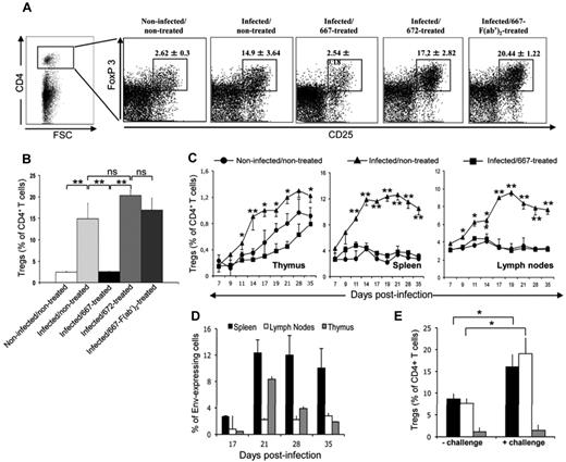 Figure 1. Treg responses in immunotherapy-treated and nontreated infected mice. (A) Flow cytometry analyses of Treg responses in mice 8 weeks of age. Mice were infected neonatally with FrCasE. Infected mice were immunotherapy treated shortly after infection using repeated administration of 667, 667-F(ab′)2, or 672 for 5 days (see “Methods”) and compared with control noninfected/nontreated and infected/nontreated animals. Treg levels were assayed by flow cytometry 8 weeks later on the basis of CD4, CD25high, and FoxP3 positivity and were expressed as a percentage of total CD4+ T cells. (B) Statistical analysis of Treg responses in mice 8 weeks of age. Three experiments comprising 3 mice each were conducted as described in panel A. The data are presented as means ± SEM of Tregs expressed as a percentage of total CD4+ T cells. The statistical significance between groups was established using the Student t test. **P < .01. (C) Treg development in the thymi, spleens, and lymph nodes of noninfected/nontreated, infected/nontreated, and infected/667-treated mice. The different groups of mice were infected and treated as in panel A. Tregs were assayed as in panels A and B in total CD4+ cells recovered from each organ. Data are presented as means ± SEM of 3 independent experiments conducted with 2 mice per time point. (D) Infection kinetics in the thymi, spleens, and lymph nodes of infected/nontreated mice. Mice were infected and cells were then prepared at various time points, from the thymi, spleens, and lymph nodes for flow cytometry quantification of Env expression at their surface, as described in “Methods.” Values are the means ± SEM of 3 independent experiments conducted with 3 mice per condition. (E) Effect of FrCasE viral challenge on Treg levels in infected/nontreated mice. Mice were infected and subjected to viral challenge 8 weeks later, as described in “Methods,” and Treg levels were assayed after another 8 days, as in panels A and B. Values are the means ± SEM of 3 experiments conducted with 3 mice each. The statistical significance between groups was established using the Student t test. *P < .05.