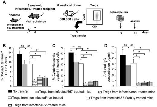 Figure 4. Disruption of anti-FrCasE immune response in infected/667-treated mice on transfer of Tregs from infected/nontreated mice. (A) Experimental design. Mice were infected neonatally and immunotherapy treated with 667. They were virally challenged at 8 weeks of age and subjected to adoptive transfer with purified Tregs (3 × 105 cells) from various origins before analysis of humoral and CTL immune responses, conducted as in Figure 3. Tregs were purified from 8-week-old noninfected/nontreated, infected/nontreated, infected/667-treated, infected/667-F(ab′)2–treated, or infected/672-treated mice. (B) Assay of GagL-specific CD8+ T cells. (C) In vivo assay of anti-FrCasE–infected cell CTL responses. (D) Assay of anti-FrCasE IgGs. For panels B, C and D, 3 independent experiments with 3 mice per group were conducted. Data are presented as means ± SEM. The statistical significance between groups was established using the Student t test. *P < .05.
