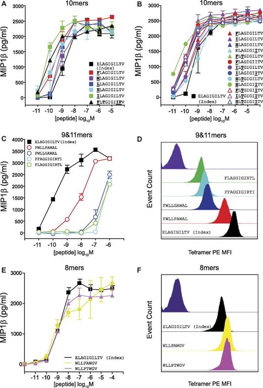 Figure 5. The MEL5 TCR exhibits a strict preference for 10mer peptides. C1R-HLA A*0201 cells (6 × 104) were pulsed with the indicated 10mer (A-B), 9mer (C), 11mer (C), or 8mer (E) peptides at the concentrations depicted for 2 hours at 37°C. Subsequently, 3 × 104 MEL5 CD8+ T cells were added and incubated overnight. The supernatant was then harvested and assayed for MIP1β by ELISA. Error bars represent SDs. (D,F) MEL5 CD8+ T cells (5 × 104) were incubated with PE-conjugated HLA A*0201 tetramer (25 μg/mL) folded around ELAGIGILTV (black), FWLLPAWAL (red), FWLLGAWAL (blue), FFAGGIGIRTI (cyan), FLAGGIGIRTL (green), WLLPAWGV (yellow), or WLLPTWGV (pink) for 15 minutes at 37°C and then stained with 5 μL of 7-aminoactinomycin D for 30 minutes at 4°C, washed twice, and resuspended in PBS. Negative control staining is shown in dark purple.