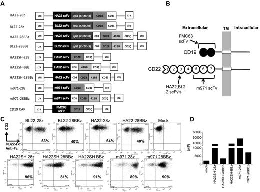 Figure 2. CD22 CARs expressing high affinity scFv (HA22), standard affinity (BL22), and membrane proximal binding (m971) anti-CD22 scFv-derived domains. (A) Second-generation CAR constructs (CD28 and CD3zeta or 4-1BB and CD3zeta signaling domains) and third-generation constructs (CD28, 4-1BB, and CD3zeta) expressed HA22, BL22, m971, or FMC63-derived scFv, ± an IgG1-derived CH2CH3 spacer domain. (B) HA22 and BL22 scFvs bind Ig domain 3, whereas m971 binds within Ig domains 5-7 of CD22. (C) Expression on transduced T cells of CD22 CARs containing CH2CH3 domains (top row) or in the shorter format, omitting this domain (bottom row). CD22 CARs were detected by CD3-APC (y-axis) and CD22-Fc followed by an anti–IgG-Fc-FITC stain. Percent transduction is noted in the top-right quadrant of each plot. (D) MFI, y-axis, of the indicated CD22 CAR constructs, x-axis. Results are representative of more than 3 retroviral supernatant preparations.