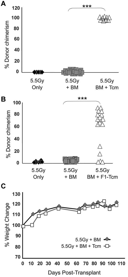 Figure 1. Anti–third-party Tcms without GVH reactivity support engraftment of TDBM allografts in sublethally irradiated mice. Sublethally irradiated (5.5Gy) Balb/c (H-2d) mice were transplanted with 20 × 106 C57BL/6-nude (H-2b) BM cells with or without: (A) Five × 106 allogeneic C57BL/6 Tcm (H-2b) or (B) 5 × 106 CB6 F1 Tcms (H-2bd). Percentage of donor cells in peripheral blood was analyzed 90 days after transplant by FACS using anti-donor (H-2Kb) antibodies. Data represent results of at least 3 independent experiments (***P < .001). (C) Average weight change during 100 days after transplant of nude-BM or nude-BM and allogeneic Tcms.