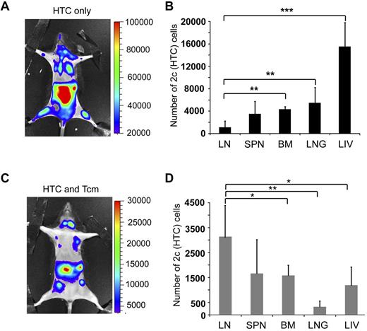 Figure 5. Anti–third-party Tcm administration induces LN accumulation of host anti-donor HTCs. Seven-hundred TCR transgenic 2c-Luc+ CD8+ cells were injected on day −1 into supralethally irradiated (4Gy on day − 5, and 10Gy on day − 2) C57BL/6 mice. One day after 2c administration, the mice received 3 × 106 Balb/c-nude BM cells (“HTC only”) or BM+5 × 106 (CB6)F1 Tcm (“HTC+Tcm”). (A-C) Representative IVIS images depicting the difference in 2c-Luc+ cell distribution within the body of untreated (A, “HTC only”) versus treated (C, “HTC and Tcm”) mice on day 10 after transplantation. Color intensities were adjusted according to signal for each individual image. (B-D) On day 9 after transplantation, organs (LN, spleen, BM, lung, and liver) were harvested from 5 animals from each group and numbers of live (7aad negative, viability staining solution) CD8+ 2c cells were assessed by FACS analysis. (B) Distribution of 2c cells in the recipients' organs in the absence of Tcm treatment. (D) Distribution of 2c cells in the recipients' organs in the presence of Tcm treatment. Data represent mean ± SD of total number of 2c cells of 5 animals in each group (*P < .05; **P < .01; ***P < .001).
